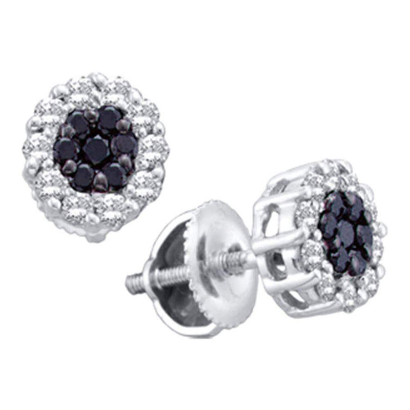 14kt White Gold Womens Round Black Color Enhanced Diamond Cluster Earrings 1/2 Cttw