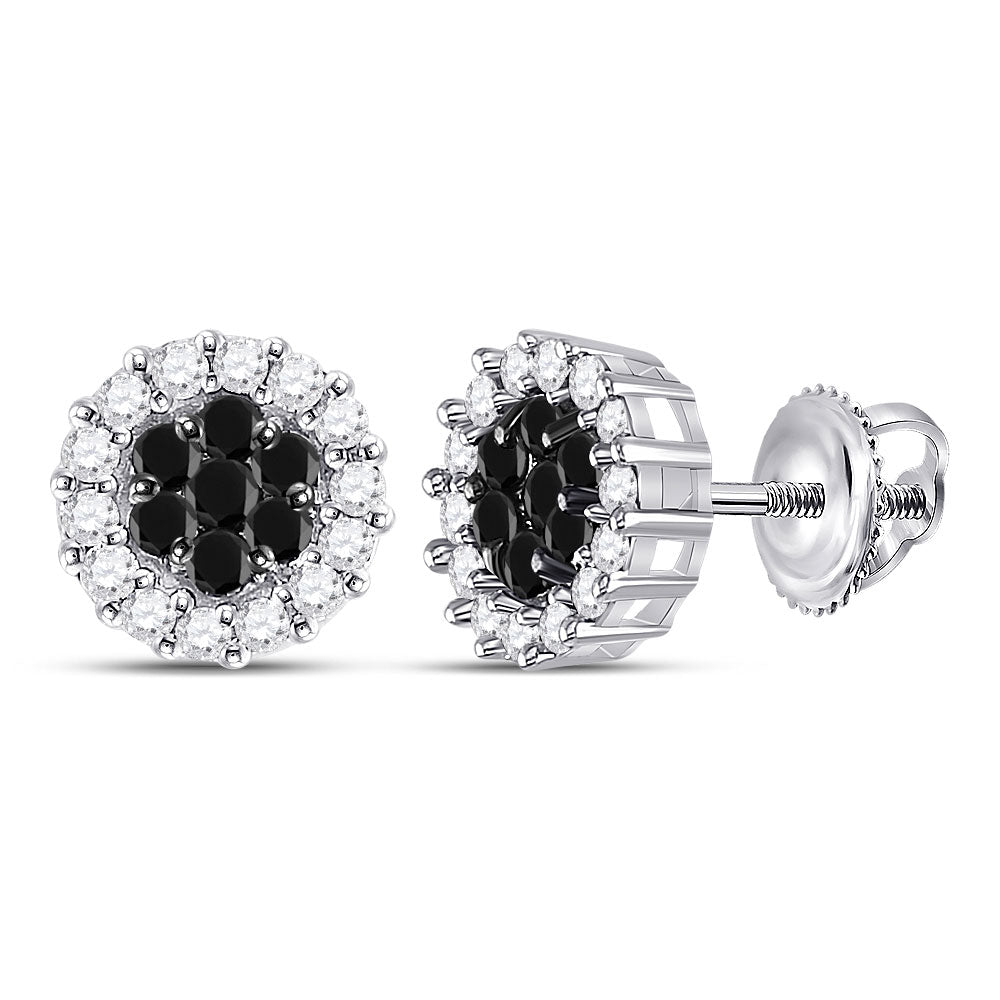 14kt White Gold Womens Round Black Color Enhanced Diamond Flower Cluster Earrings 1 Cttw