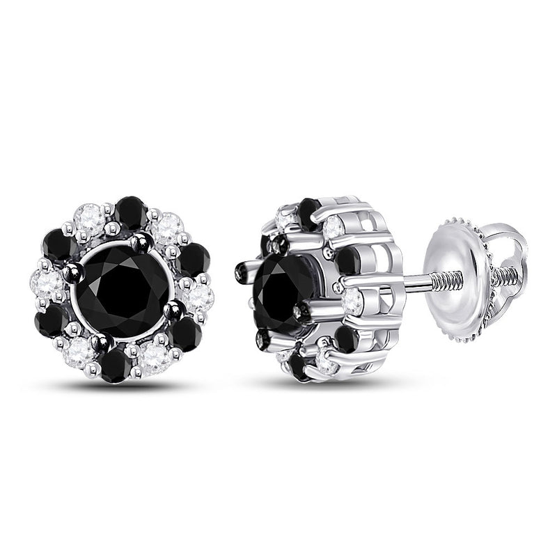 10kt White Gold Womens Round Black Color Enhanced Diamond Stud Earrings 1 Cttw