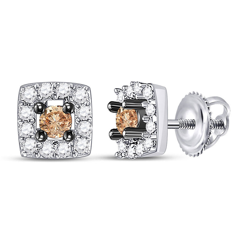 10kt White Gold Womens Round Brown Diamond Square Earrings 1/4 Cttw